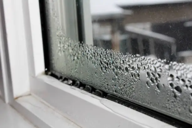 windows condensation