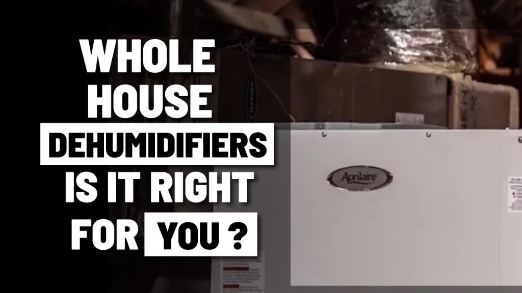 whole house dehumidifiers